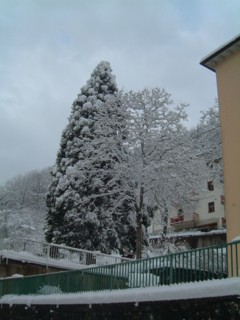  Image name: molino innevato3.JPG 
 width: 240 pixel 
 height: 320 pixel 
 Size: 21725 bytes 
 Click to enlarge 